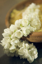 Jasmine