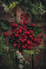 Red_Berries