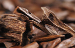 Agarwood
